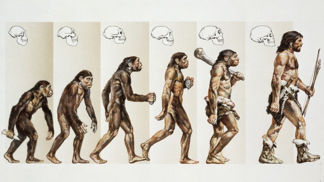 How did climate shape human evolution?  - Photo 3.