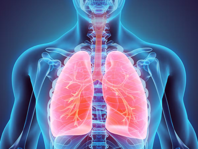 Lần đầu tiên phát hiện ra hạt vi nhựa nằm sâu trong phổi con người - Ảnh 2.