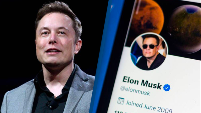 Has a fortune of more than $200 billion, but Elon Musk may not be able to buy Twitter - Photo 1.