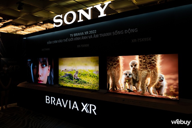 Ra mắt TV Sony Bravia XR 2022: Nâng cấp trải nghiệm nghe nhìn với các công nghệ độc quyền - Ảnh 5.