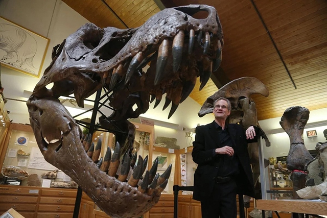 What is special about this tyrannosaur skeleton that is sold for 731 billion VND?  - Photo 2.