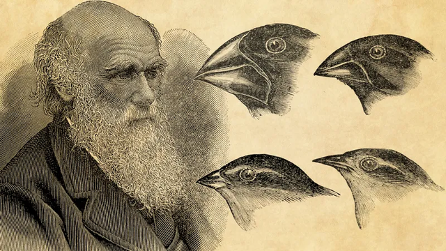 Sau 20 năm lưu lạc, 2 cuốn sổ tay vô giá của Charles Darwin đã được người bí ẩn trả lại Thư viện Đại học Cambridge - Ảnh 1.