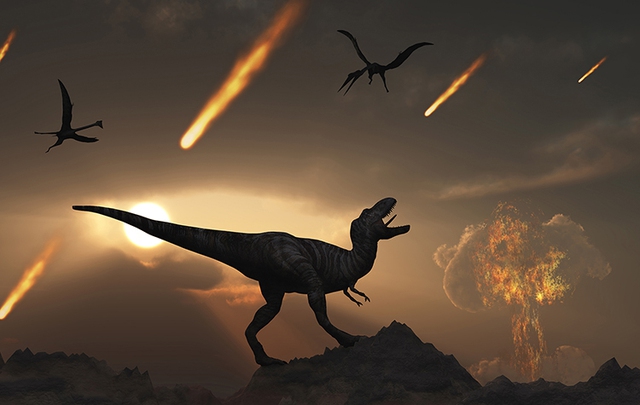 Vì sao gián có thể sống sót khi thiên thạch xóa sổ khủng long? - Ảnh 1.