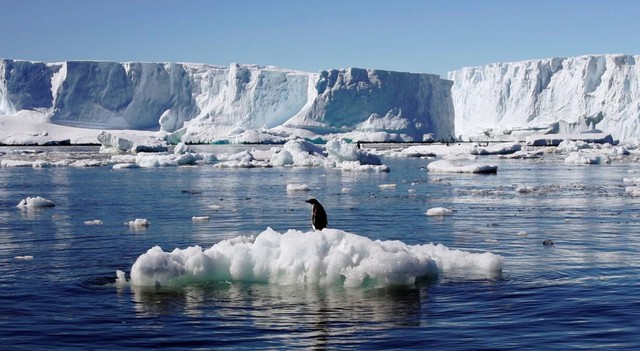 Nhiệt độ và sự biến đổi khí hậu ở Nam Cực ngày càng đáng quan ngại - Ảnh 1.