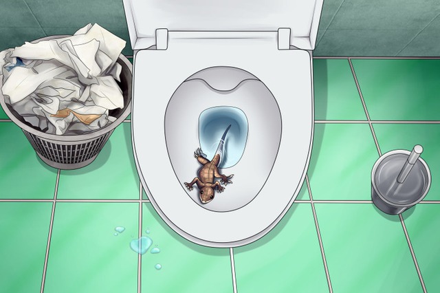 Creatures that can break into the toilet and make you 