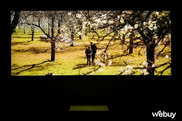 Experience LG projector for 86 million: Bright and spacious like a theater, can be used all day, fast and smooth interface, super convenient magic control - Photo 12.