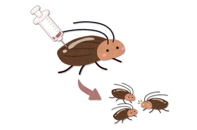 Scientists have just created a mutant cockroach species using CRISPR technology - Photo 5.
