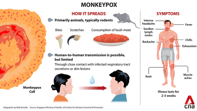 Monkeypox caused by MPXV virus broke out in Europe, here's what you need to know - Photo 6.