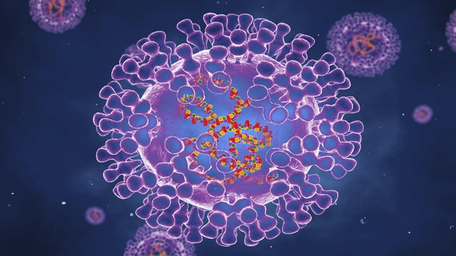 Bệnh đậu mùa khỉ do virus MPXV bùng phát ở Châu Âu, đây là những gì bạn cần biết - Ảnh 1.