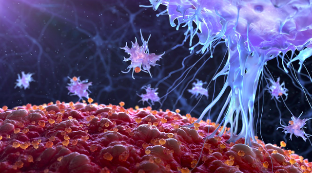 The US tests a virus to cure cancer: When pathogens become a living medicine - Photo 1.