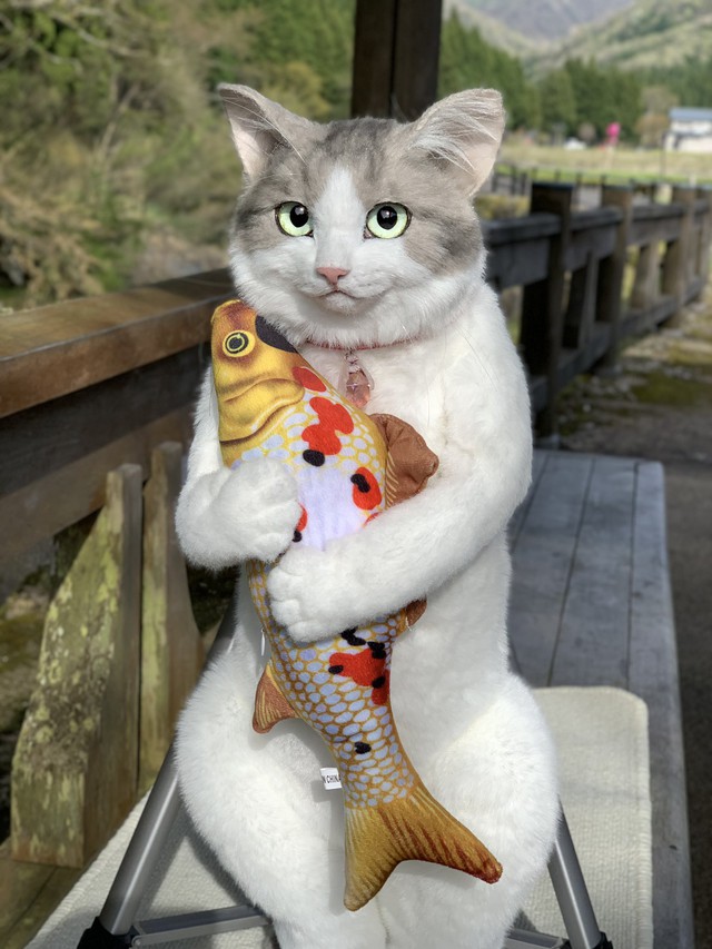 The Japanese are crazy about a backpack that looks exactly like a real cat, priced at more than $1,000 - Photo 4.