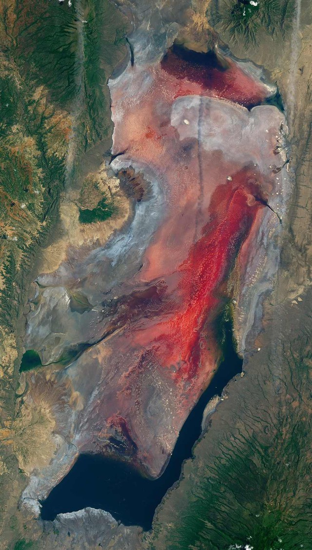 This red lake in Tanzania possesses the super power to turn most creatures into stone - Photo 2.