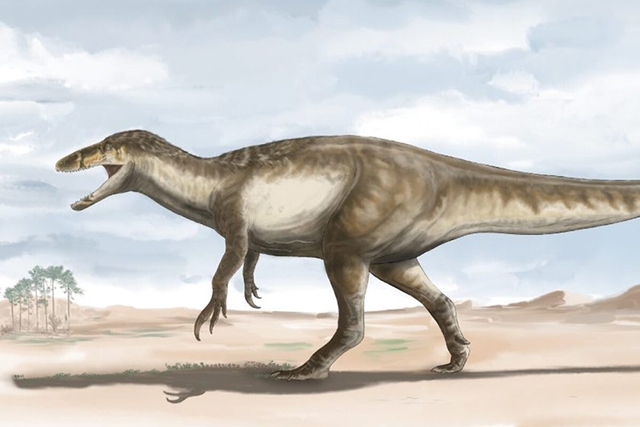 Không phải khủng long bạo chúa, loài khủng long này to lớn và nguy hiểm hơn rất nhiều - Ảnh 2.
