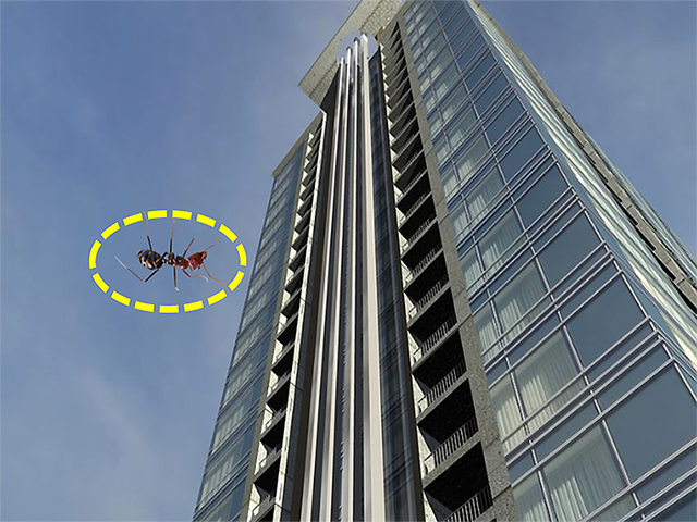 If you drop an ant from the 63rd floor to the ground, will it die? - Photo 2. If you drop an ant from the 63rd floor to the ground, will it die? - Photo 2.