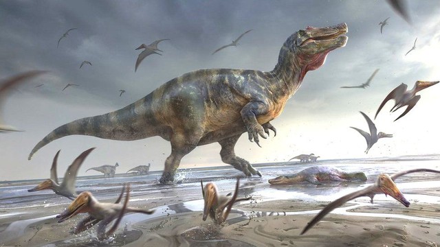 Bất ngờ phát hiện loài khủng long lớn nhất từ trước tới nay của Châu Âu tại một hòn đảo tách biệt của Anh! - Ảnh 1.