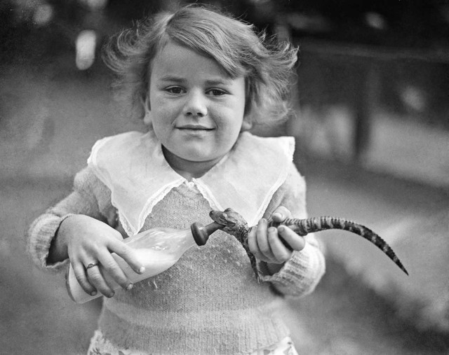 Những bức ảnh hiếm hoi về trại cá sấu những năm 1920 tại California, nơi trẻ em có thể cưỡi và chơi với cá sấu! - Ảnh 4.
