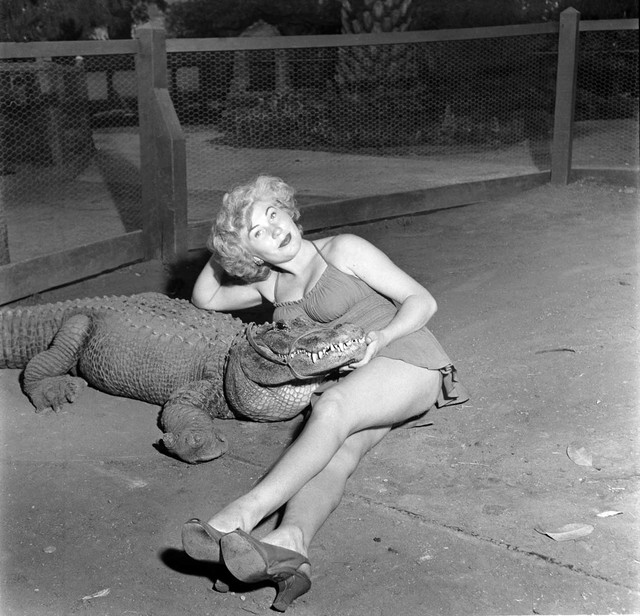 Những bức ảnh hiếm hoi về trại cá sấu những năm 1920 tại California, nơi trẻ em có thể cưỡi và chơi với cá sấu! - Ảnh 6.