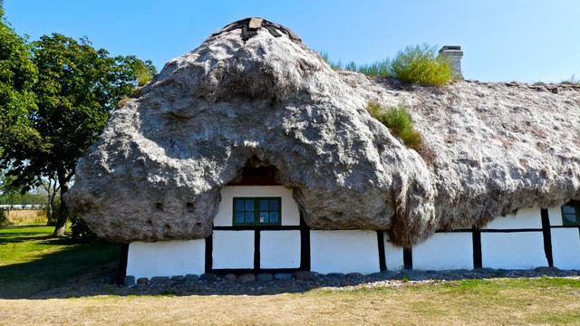 Super durable natural material, if spread on the roof, it will not rot for 300 years - Photo 4.