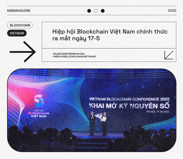 Một &quot;mùa đông tiền mã hóa&quot; dài và khắc nghiệt đang ập đến, liệu Hiệp hội Blockchain Việt Nam ra mắt lúc này có đúng thời điểm? - Ảnh 4.