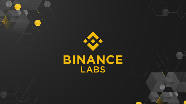Cryptocurrencies depreciate, Binance sets up an investment fund in web 3.0 - Photo 1.