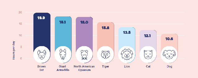 Động vật ngủ như thế nào? Thói quen ngủ của các loài khác nhau ra sao? - Ảnh 2.