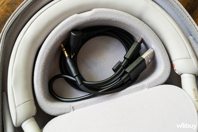 On hand a pair of Sony WH-1000XM5 and LinkBuds S headphones: One tucked in one earcup, but both are modern - Photo 11.