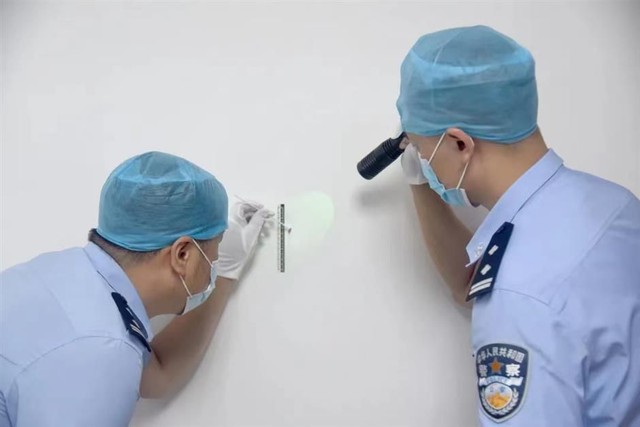 Một con muỗi giúp cảnh sát Trung Quốc tìm ra kẻ trộm - Ảnh 1.