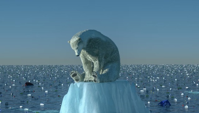 Thiếu lương thực, gấu Bắc Cực phải ăn &quot;pin và tã bẩn&quot; ở bãi rác của con người - Ảnh 3.