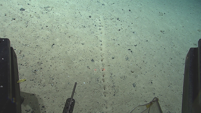 Các nhà khoa học bối rối trước những hố bí ẩn liên tục tìm thấy dưới đáy Đại Tây Dương sâu thẳm - Ảnh 1.