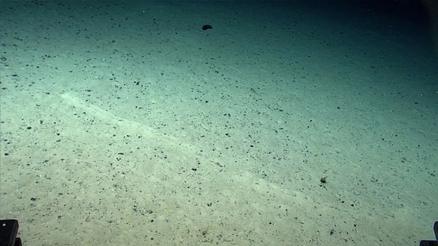 Các nhà khoa học bối rối trước những hố bí ẩn liên tục tìm thấy dưới đáy Đại Tây Dương sâu thẳm - Ảnh 3.