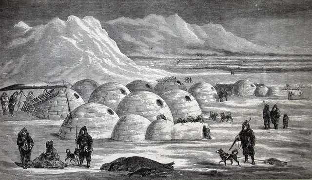 Tại sao người Inuit sống trong lều tuyết ở Bắc Cực? - Ảnh 1.