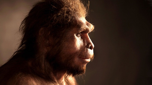 Quả bóng Ubeidiya 1,4 triệu năm tuổi: Phát hiện làm đảo lộn lịch sử loài người! - Ảnh 6.