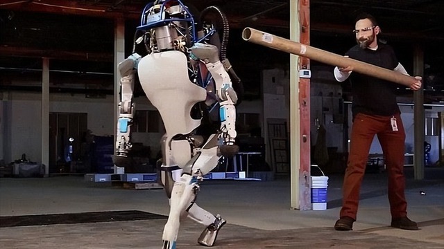 Khám phá mới tiết lộ khả năng đáng kinh ngạc của &quot;robot sống&quot; - Ảnh 2.