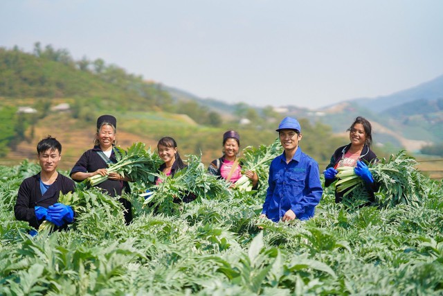 Traphaco và hành trình đảo ngược ‘nghịch lý dược liệu’ ở Việt Nam, nâng thu nhập dân nghèo lên tới trăm triệu/ năm - Ảnh 1.