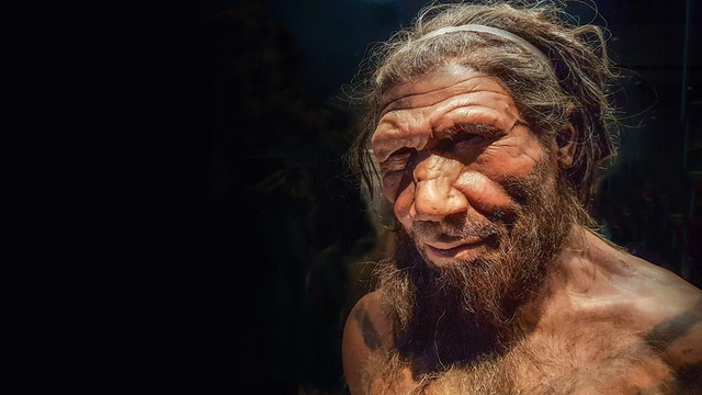 Người Neanderthal thông minh hơn đười ươi và khỉ, vậy tại sao họ lại tuyệt chủng cách đây 30.000 năm? - Ảnh 4.