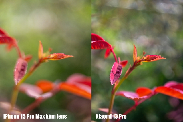 Xiaomi 14 Pro có công nghệ camera này cả iPhone, Galaxy xịn nhất đều chụp xấu hơn- Ảnh 25.