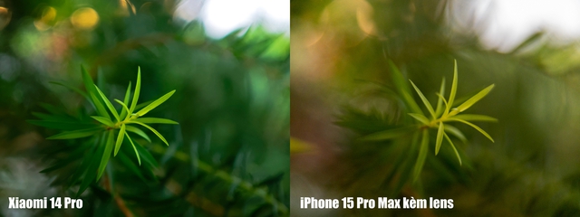 Xiaomi 14 Pro có công nghệ camera này cả iPhone, Galaxy xịn nhất đều chụp xấu hơn- Ảnh 23.