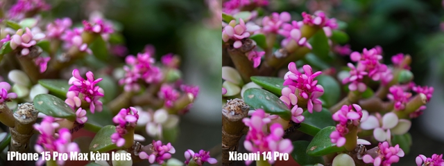 Xiaomi 14 Pro có công nghệ camera này cả iPhone, Galaxy xịn nhất đều chụp xấu hơn- Ảnh 24.