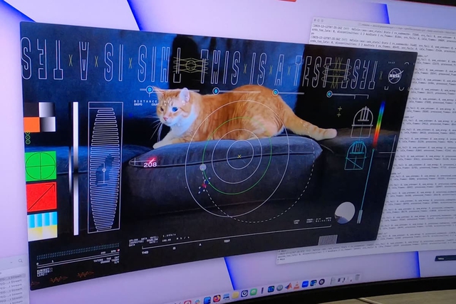 NASA 'tải xuống' thành công đoạn video quay mèo từ khoảng cách 31 triệu km ngoài không gian- Ảnh 1.