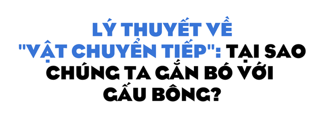 Có ai ở Việt Nam hơn 20 tuổi rồi vẫn còn ngủ với gấu bông không? - Ảnh 4.