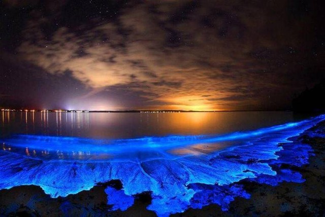Bí ẩn về hiện tượng biển sao của Maldives! - Ảnh 1.