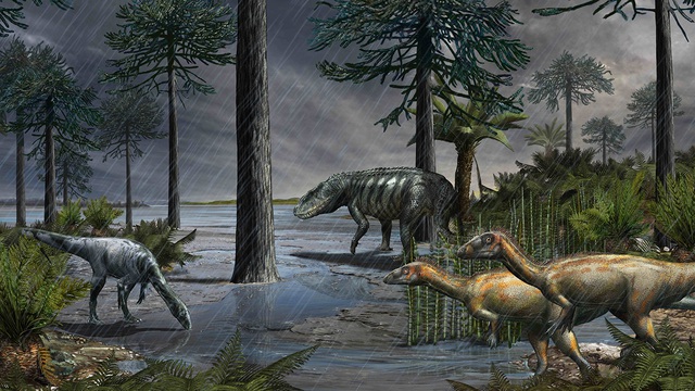 Môi trường và khí hậu Trái Đất thời kỳ khủng long khác biệt như thế nào so với hiện nay? - Ảnh 1.