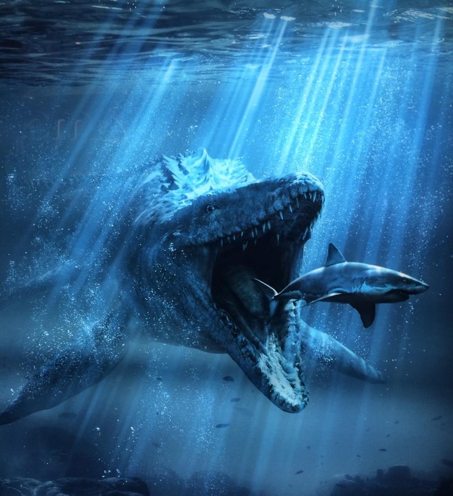 Không phải Megalodon, 5 loài này mới thực sự là quái vật mạnh nhất đại dương cổ đại - Ảnh 3.