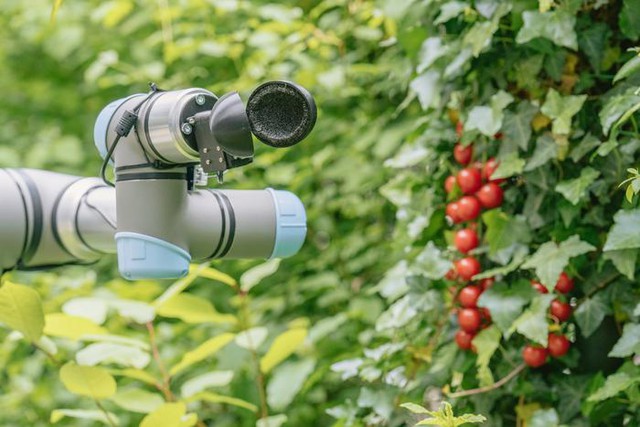 ChatGPT được sử dụng để tạo ra robot thu hoạch nông sản - Ảnh 2.