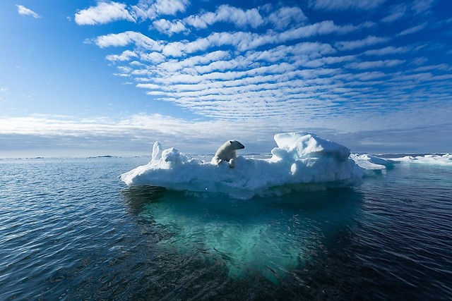 Tất cả sông băng trên Trái Đất đang tan chảy và nhân loại có thể phải đối mặt với những thay đổi lớn - Ảnh 3.