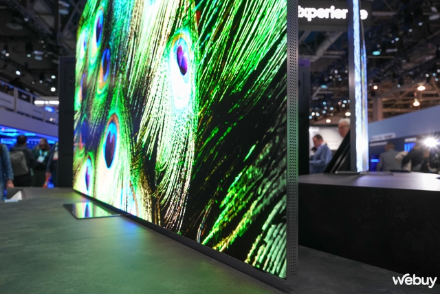 Cận cảnh loạt TV Samsung mới tại CES 2024: Thiết kế ấn tượng, hình âm đẳng cấp, đặc biệt choáng ngợp với mẫu MICRO LED trong suốt- Ảnh 16.
