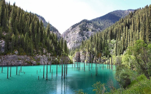 Bí ẩn về khu rừng dưới nước tại hồ Kaindy của Kazakhstan- Ảnh 5.
