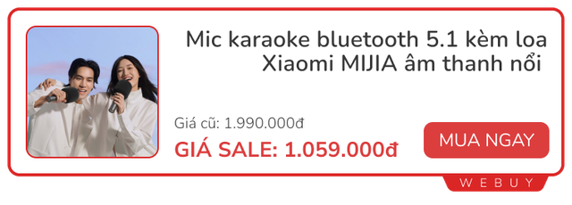 Loa mic hát karaoke chỉ từ 259.000đ, tranh thủ sắm sớm kẻo sát Tết muốn mua cũng không kịp- Ảnh 1.