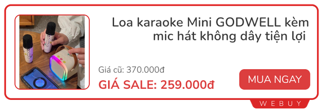 Loa mic hát karaoke chỉ từ 259.000đ, tranh thủ sắm sớm kẻo sát Tết muốn mua cũng không kịp- Ảnh 5.