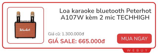 Loa mic hát karaoke chỉ từ 259.000đ, tranh thủ sắm sớm kẻo sát Tết muốn mua cũng không kịp- Ảnh 6.